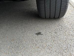 Polestar Polestar 2 DUAL Motor 78kWh LONG Range Fastback AUTO 4WDE 5dr