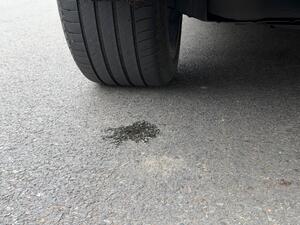 Polestar Polestar 2 DUAL Motor 78kWh LONG Range Fastback AUTO 4WDE 5dr