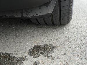 Polestar Polestar 2 DUAL Motor 78kWh LONG Range Fastback AUTO 4WDE 5dr