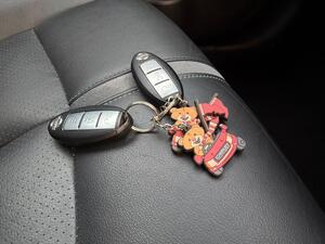 Nissan Leaf 40kWh Tekna AUTO 5dr