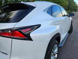 Lexus NX 2.5 300h F Sport E-CVT 4WD Euro 6 (s/s) 5dr