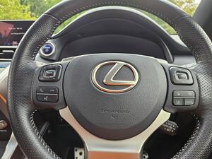 Lexus NX 2.5 300h F Sport E-CVT 4WD Euro 6 (s/s) 5dr