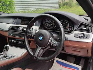 BMW 5 Series 2.0 520d M Sport Auto Euro 6 (s/s) 4dr