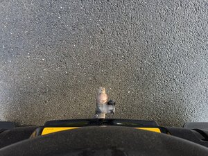 Land Rover Defender 3.0 Defender HARD TOP D MHEV AUTO 3dr