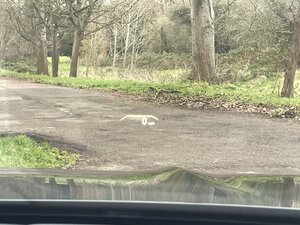 BMW 7 Series 3.0 730ld Exclusive 4dr