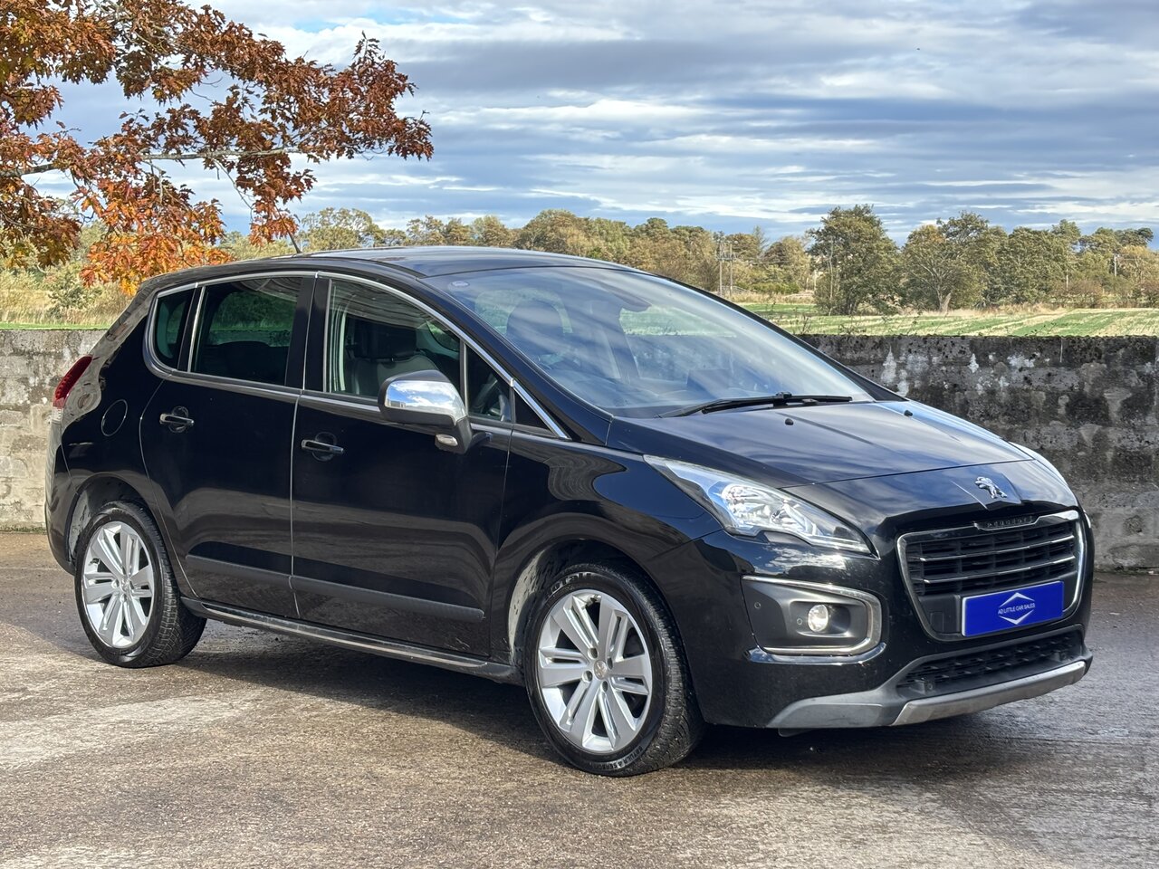 Peugeot 3008 1.6 3008 Allure BLUE HDI S/S 5dr