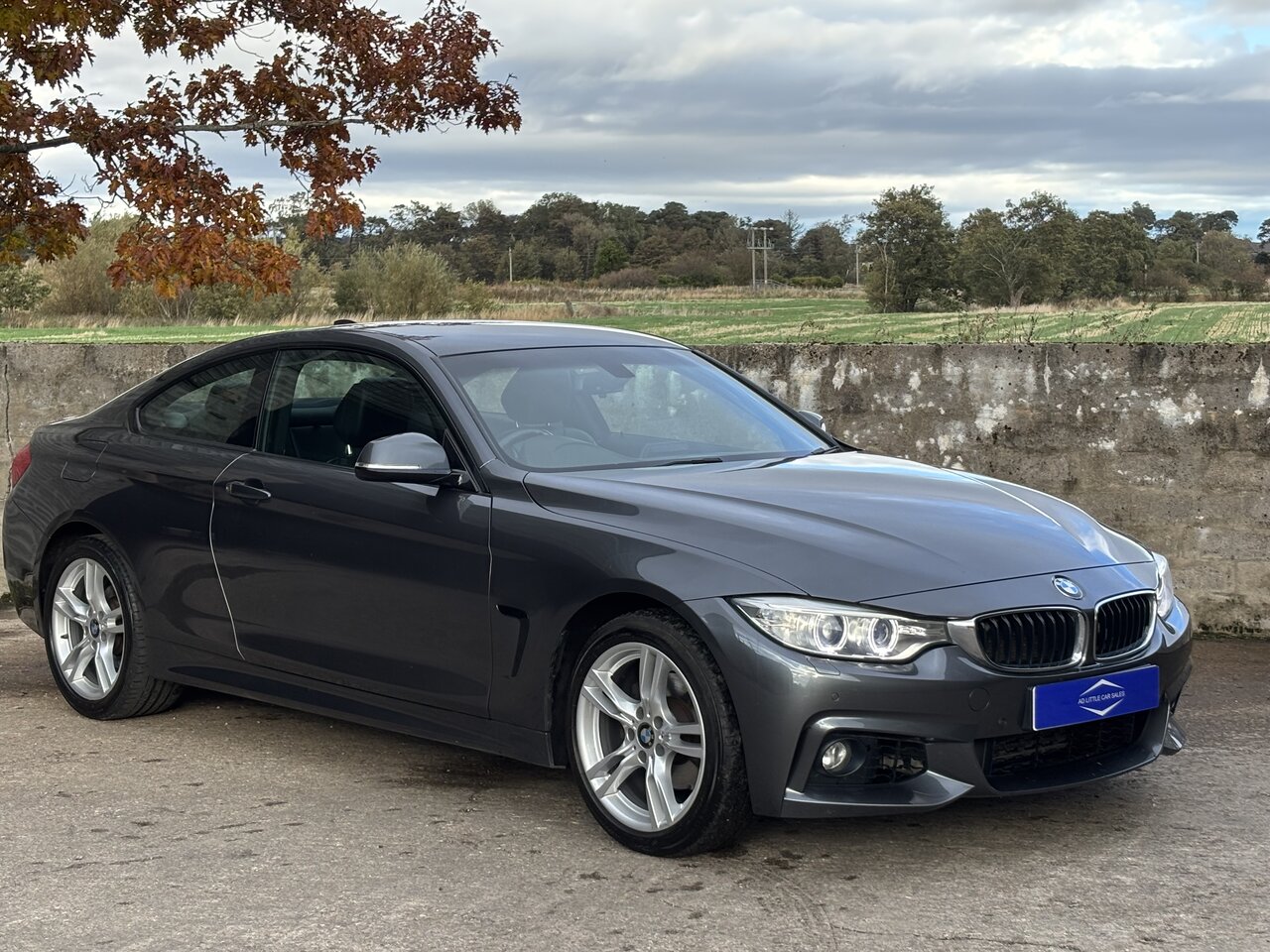 BMW 4 Series 2.0 420D Xdrive M Sport 2dr