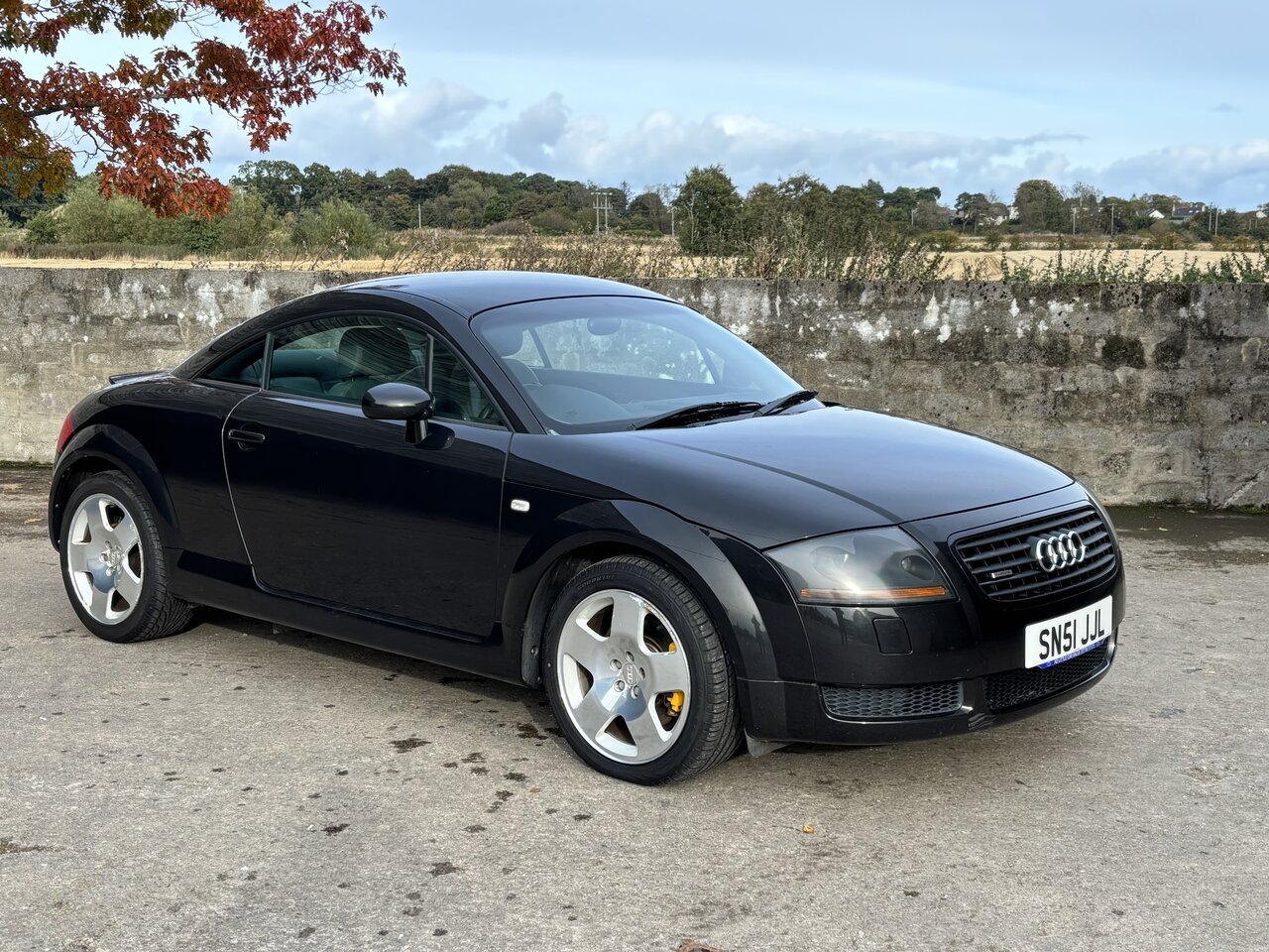 Audi TT 1.8 Quattro (225bhp) 3dr