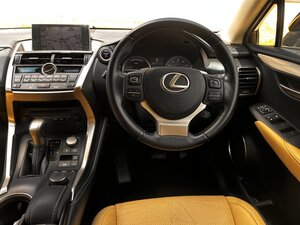 Lexus NX 2.5 300h Luxury 5dr