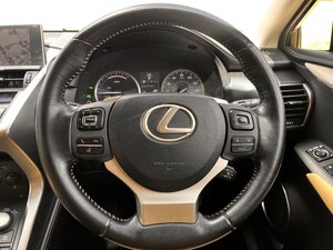 Lexus NX 2.5 300h Luxury 5dr