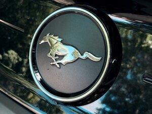 Ford Mustang 2.3 Mustang Ecoboost Auto Coupe