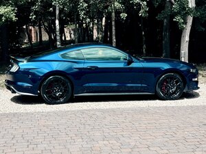 Ford Mustang 2.3 Mustang Ecoboost Auto Coupe