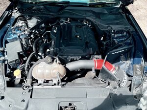 Ford Mustang 2.3 Mustang Ecoboost Auto Coupe