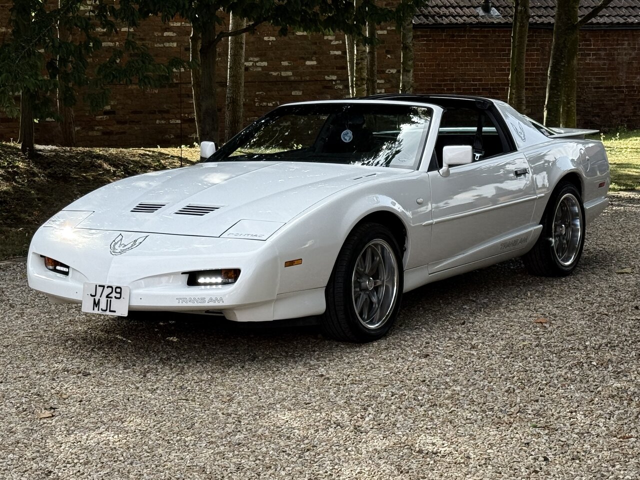 Pontiac Trans AM 5.0 V8  Targa