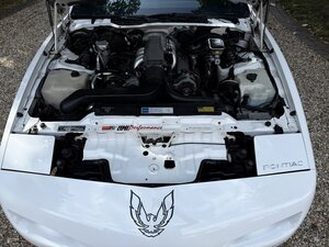 Pontiac Trans AM 5.0 V8  Targa