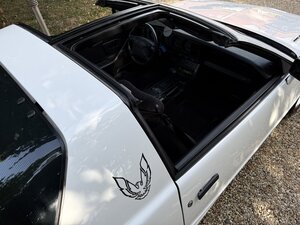 Pontiac Trans AM 5.0 V8  Targa
