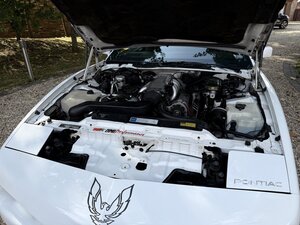 Pontiac Trans AM 5.0 V8  Targa