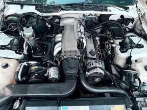 Pontiac Trans AM 5.0 V8  Targa